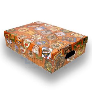 caja plastificada bajo cama con tapa
