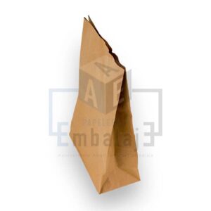 Bolsas de papel delivery