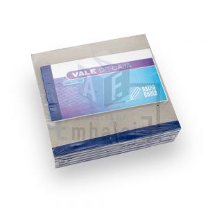 vale de caja astronauta
